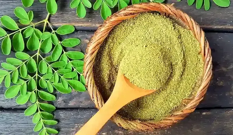 Moringa Benefits