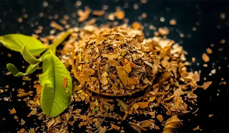 Guava Leaves Benefits