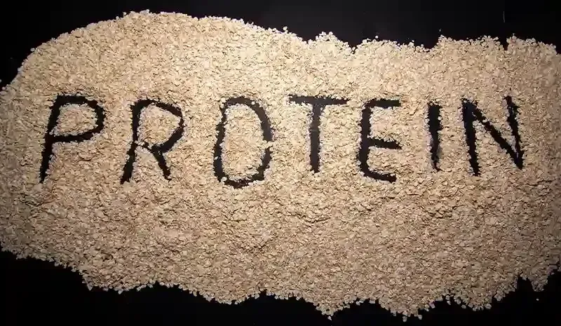 High-Protein Diet for Weight Loss