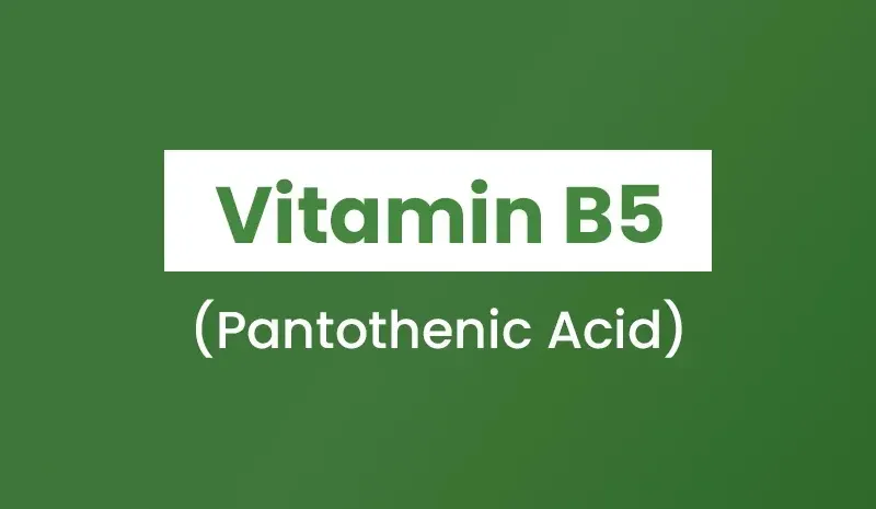 Vitamin B5 Foods