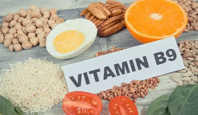 Vitamin B9 Foods