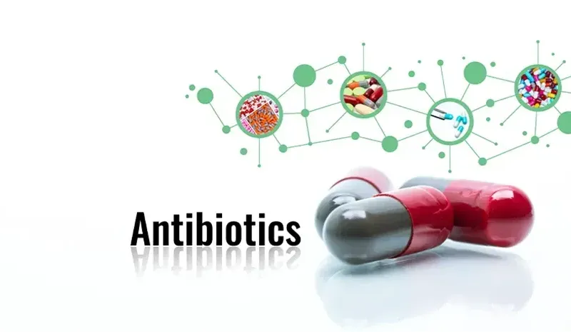 Antibiotic Resistance and Its Impact on Global Health