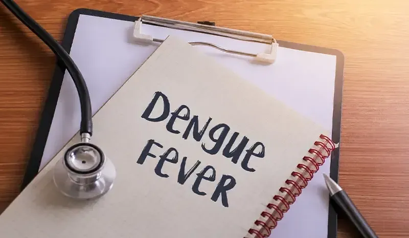 Best and Worst Foods for Dengue Fever Patients