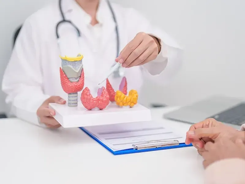 Thyroid Disease - Autoimmune Thyroid Disorders Explained