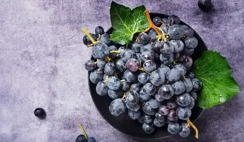 benefits of black grapes