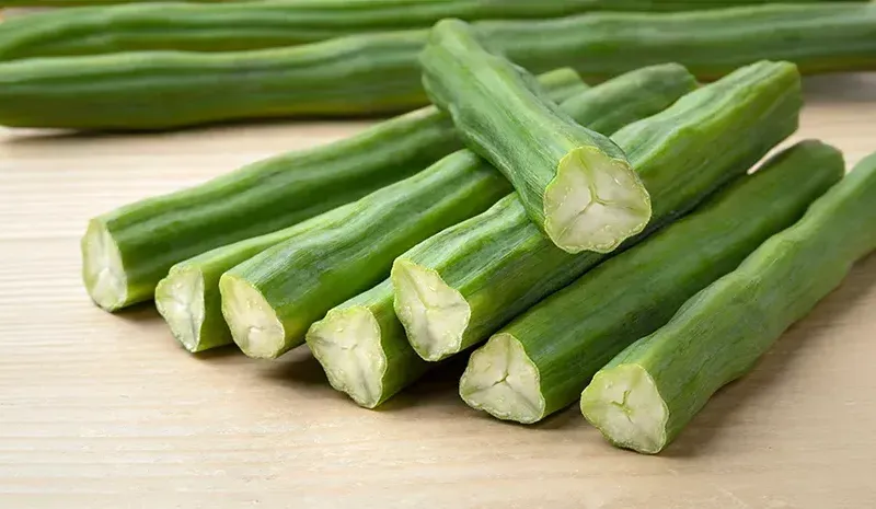 Benefits of Drumstick for Overall Health