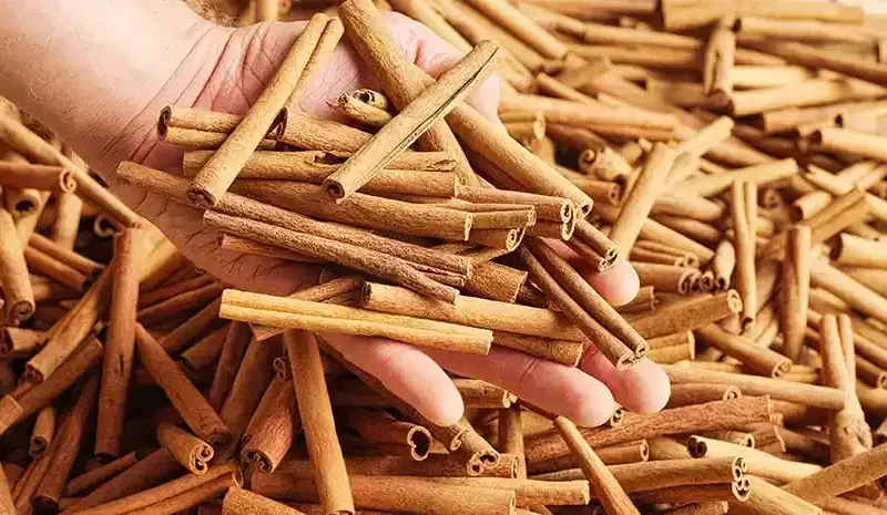 Cinnamon Benefits for Health, Weight Loss & Everyday Wellness