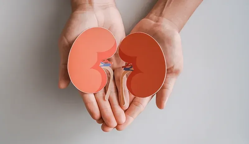 Kidney Disease Early Symptoms