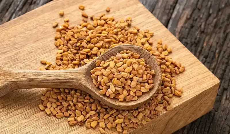 Advantages of Fenugreek Seeds for Health, Nutrition & Everyday Use