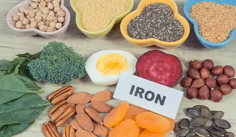 Iron-Rich Foods - Best Sources for Health & Energy