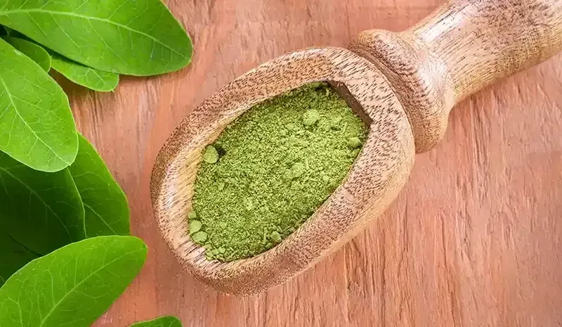 moringa powder benefits