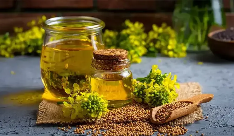 mustard oil benefits