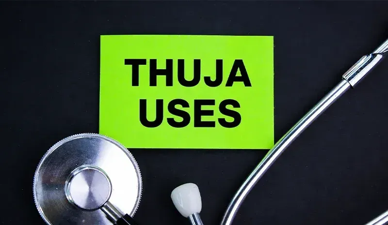 Thuja Uses, Benefits, Dosage & Safety Information