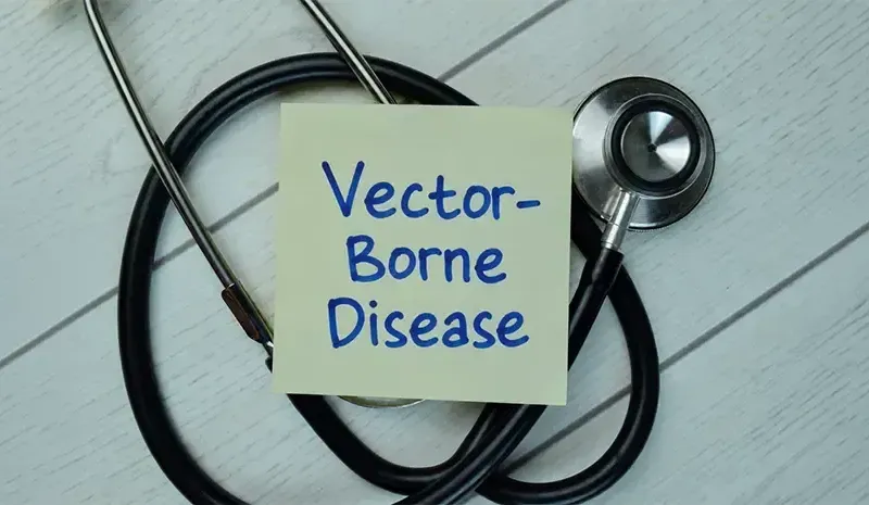 Vector-Borne Disease Transmission