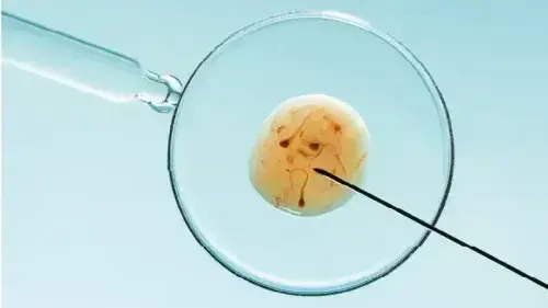 Health Insurance for IVF