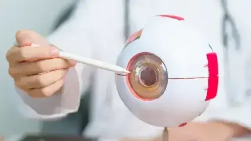 Health Insurance for Diabetic Eye Issues