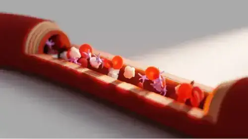 Mobile Banner