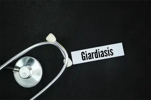 Mobile Banner