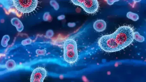 Mobile Banner