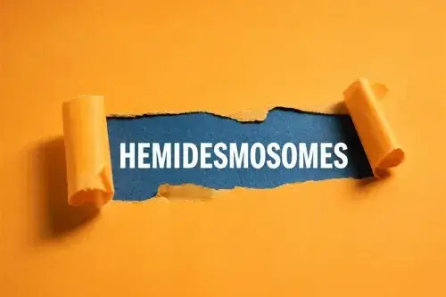 Mobile Banner