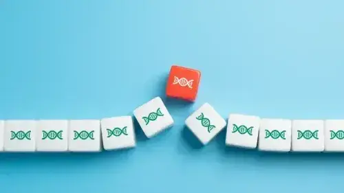 Mobile Banner