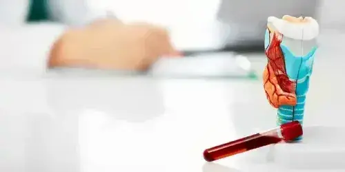 Mobile Banner