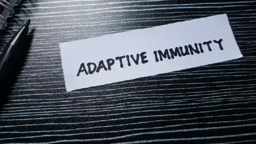 Mobile Banner