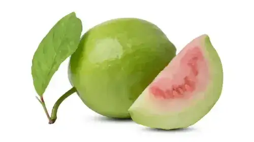 Mobile Banner