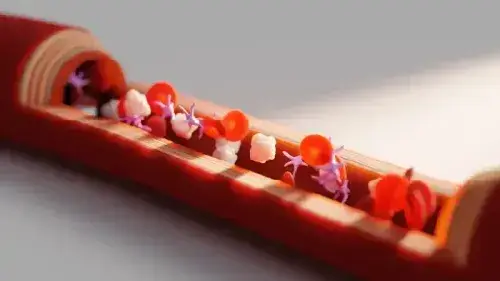 Mobile Banner