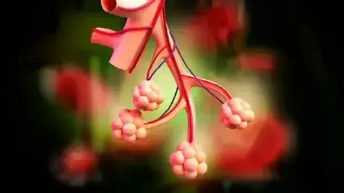 Mobile Banner