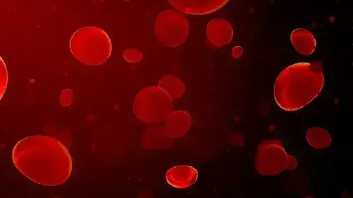 Mobile Banner