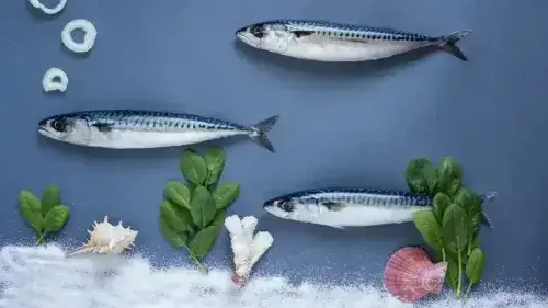Mobile Banner
