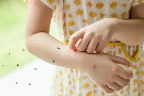 Health Insurance for Malaria