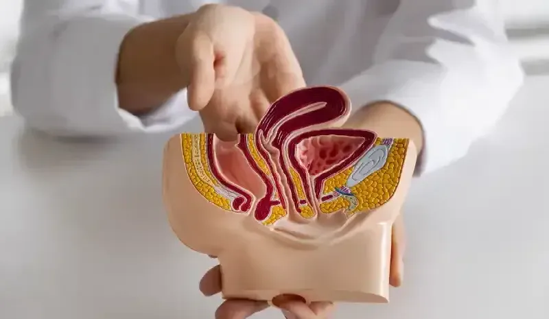Hemorrhoids (Piles) - Types & Treatment Options