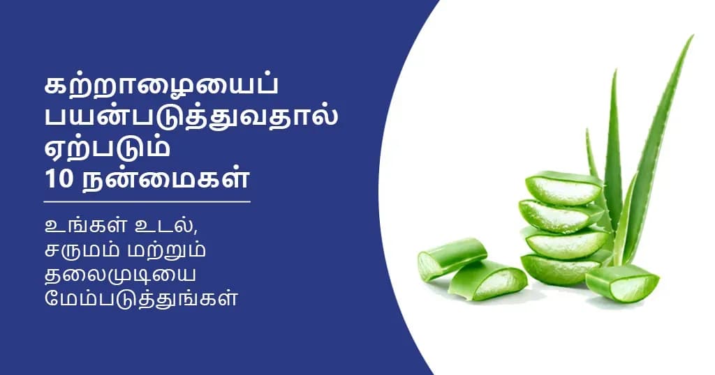 கற்றாழையைப் பயன்படுத்துவதால் ஏற்படும் 10 நன்மைகள்