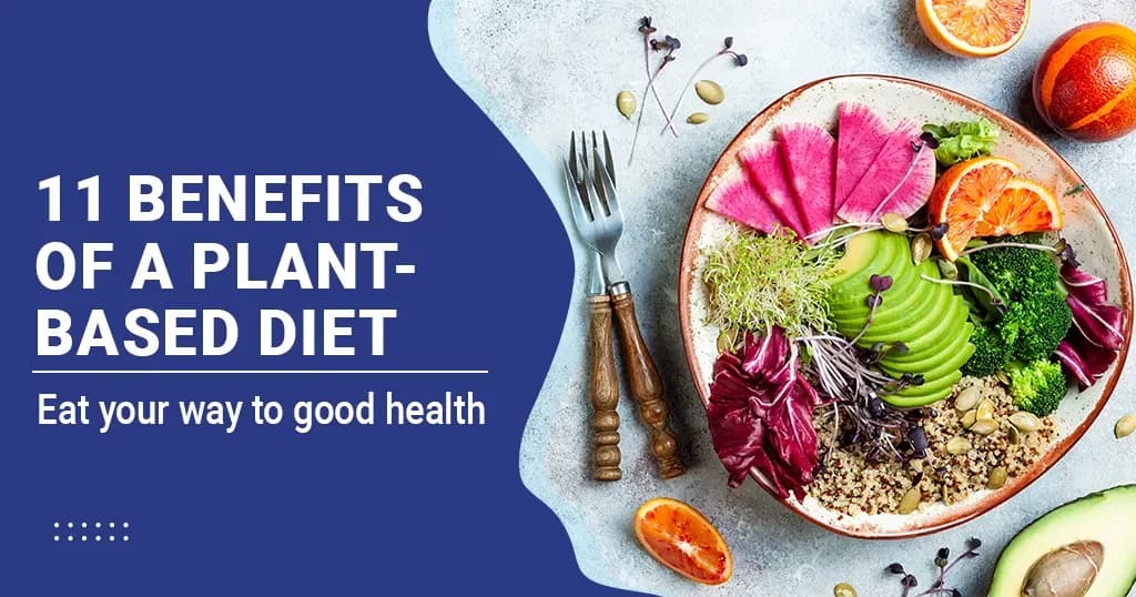 11 Benefits of Plant-based Diet for Overall Health  