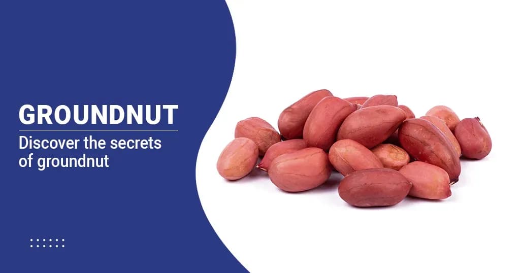 Groundnut (Peanut) Nutrition: Health Benefits & Side Effects Explained