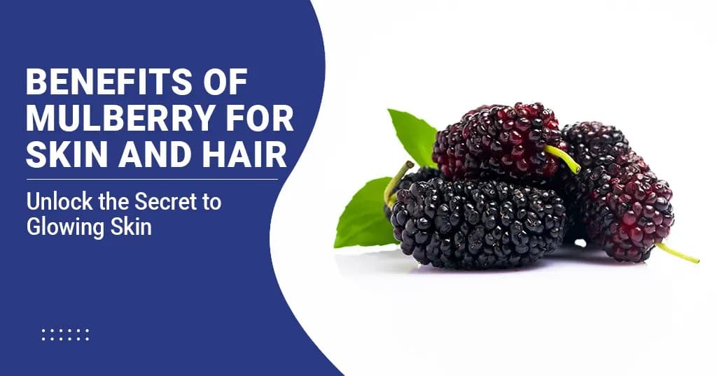 Mulberry Benefits for Skin and Hair 
