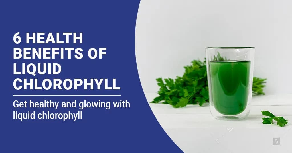6 Stunning Health Benefits of Liquid Chlorophyll