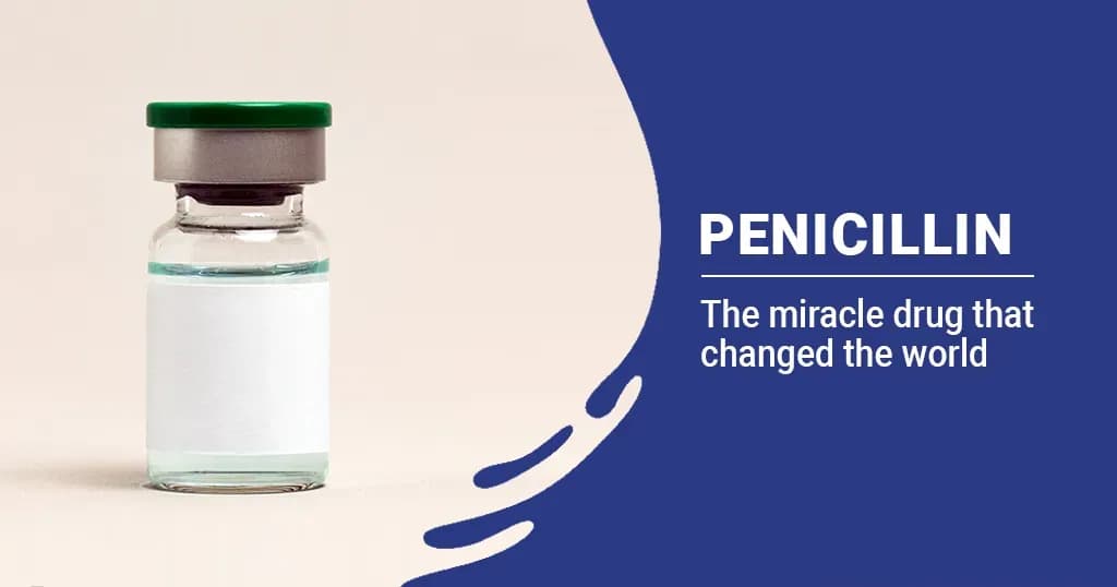 Penicillin Uses, Side Effects & Allergy Warnings 