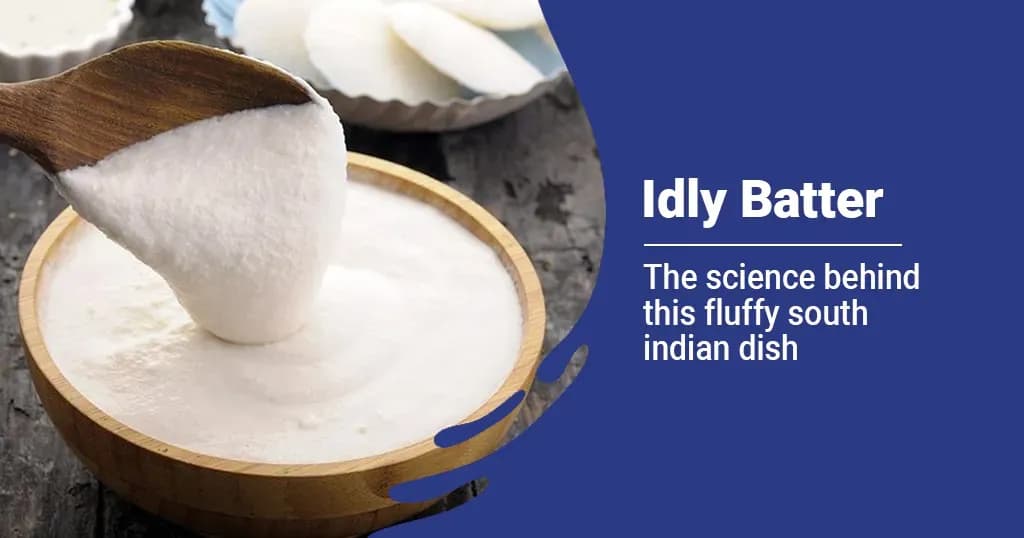 The Science of Idly Batter 