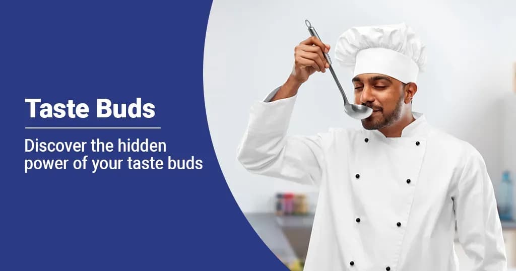 Taste Buds Anatomy, Features and Function 