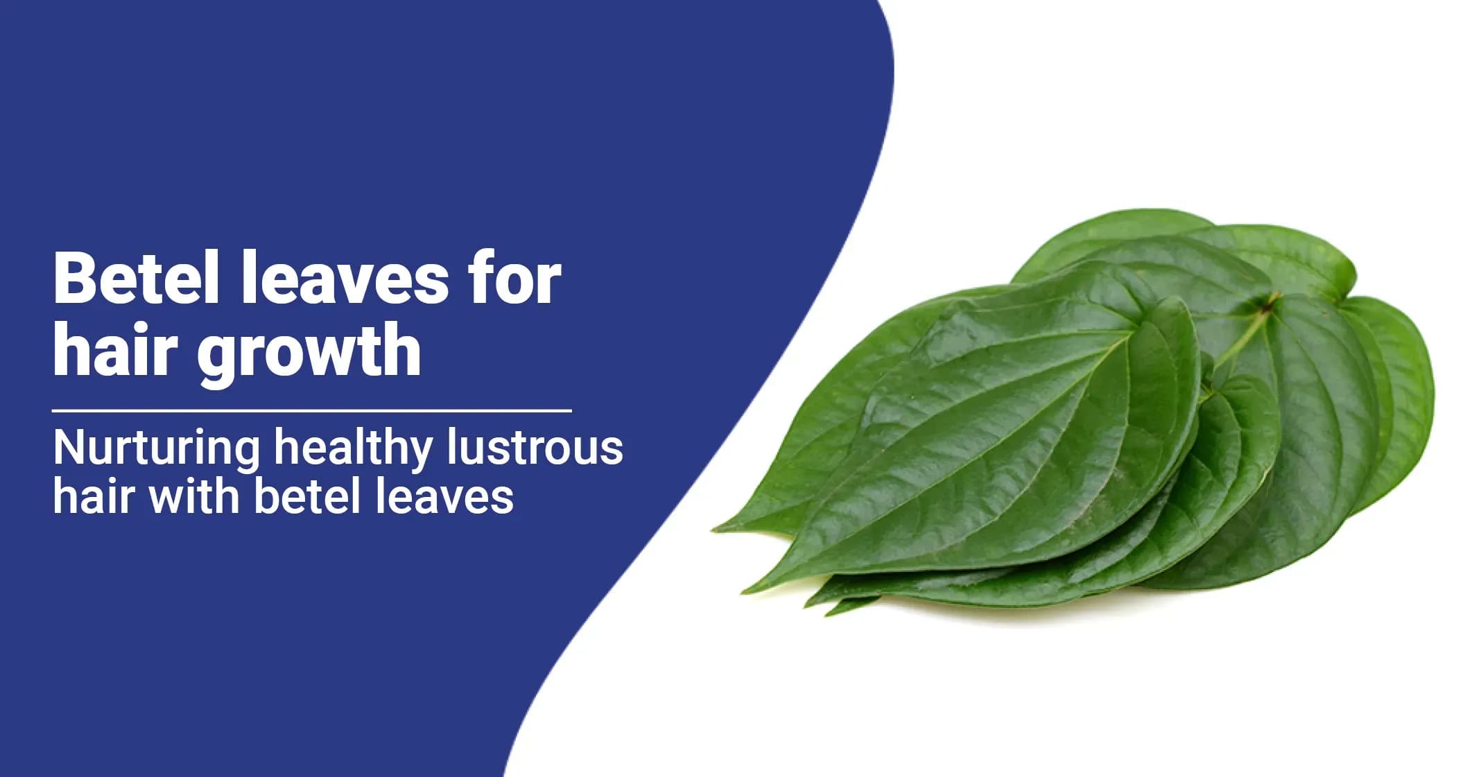 Can Betel Leaves Boost Hair Growth?