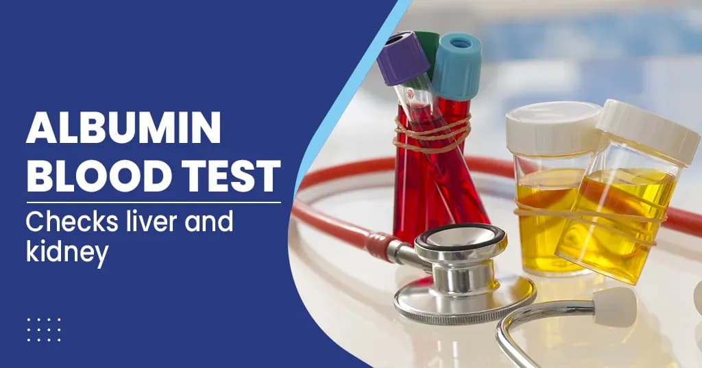 Albumin Blood Test Procedure and Its Purpose
