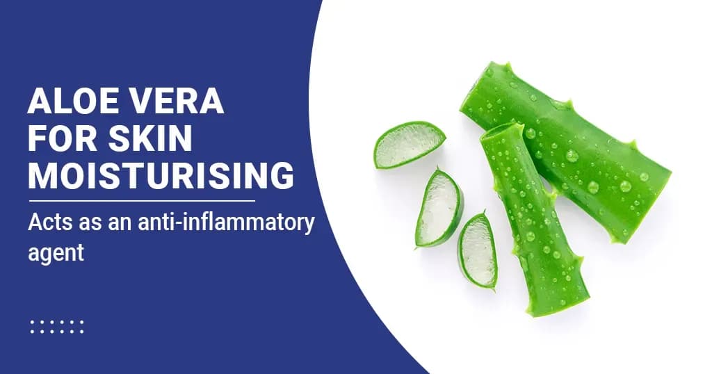 Benefits of Aloe Vera on Skin