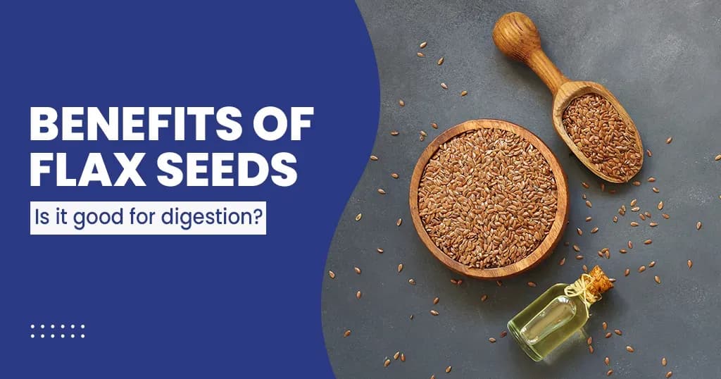 Top 9 Health Benefits of Flax Seeds