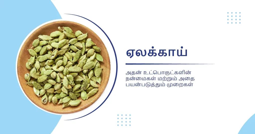சளி மற்றும் இருமலை குணப்படுத்த உதவும் ஏலக்காய்!