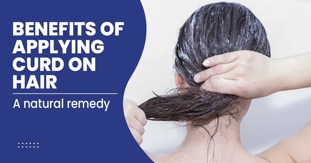 Curd for Hair and How to Apply It?