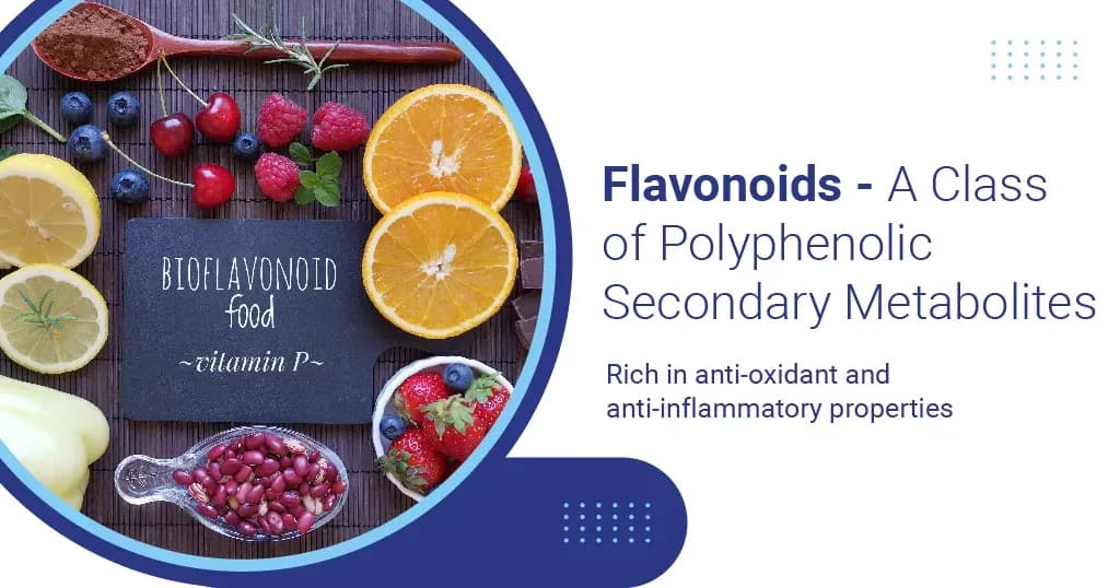 Flavonoids - Types & Benefits