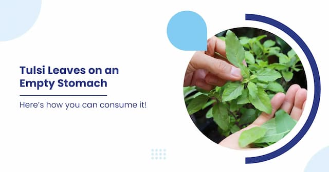 Best Ways to Eat Tulsi Leaves on an Empty Stomach  